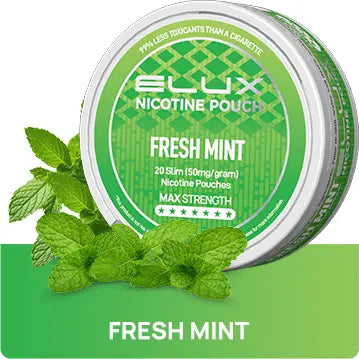 Fresh Mint Nicotine Pouches