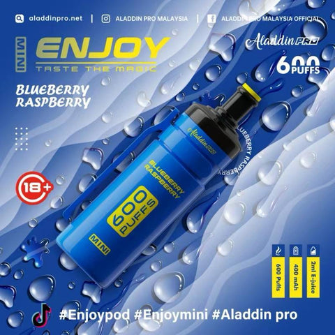 Enjoy Mini Blueberry Raspberry 600 Disposable Vape